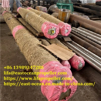 Lifa Marine Stainless Steel Forged Stern Shaft For Fishing Boat